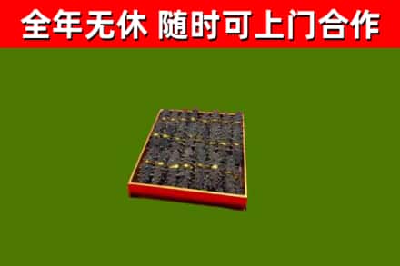 河南省回收海参